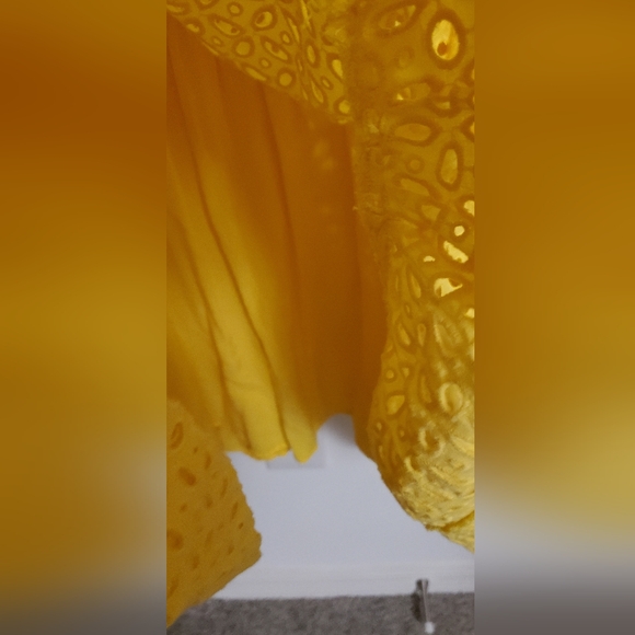 Anthropologie Somerset Canary Yellow Eyelet Mini Dress Size 2X Spring Easter - Picture 6 of 10